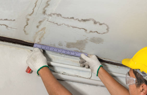 Reliable Burst Pipe Cleanup contractor in New Market, VA by Water Damage Irwin